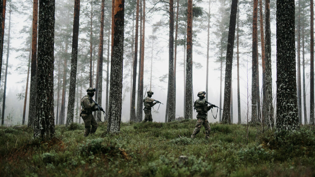 Soldiers in the forest